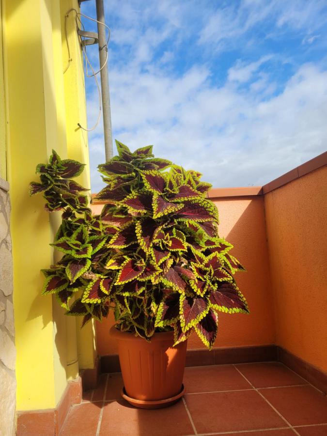 Butterflyhouse Villa Monserrato Exterior foto